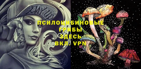 амф Алексеевка