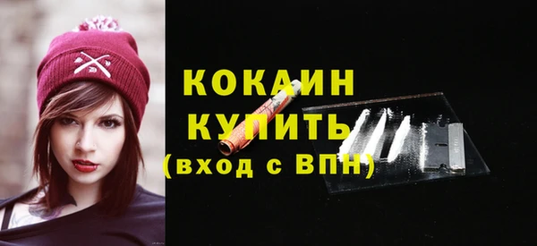 гашик Карпинск