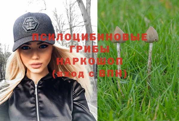 каннабис Алексин
