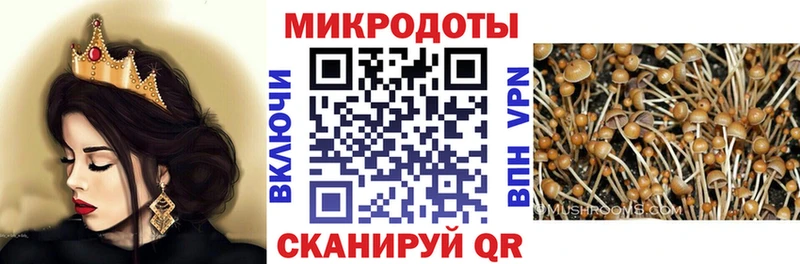 наркотики  Красноярск  Галлюциногенные грибы Psilocybe 